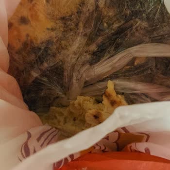 Vestel Buzdolabı Sorunu Çözümsüz Kaldı, Gıdalarım Ziyan Oldu