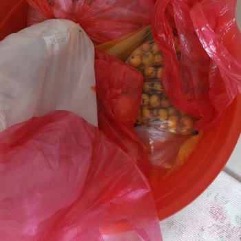 Vestel Buzdolabı Sorunu Çözümsüz Kaldı, Gıdalarım Ziyan Oldu