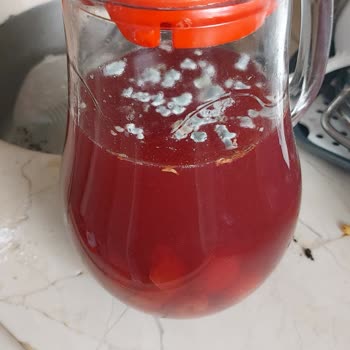 Vestel Buzdolabı Sorunu Çözümsüz Kaldı, Gıdalarım Ziyan Oldu