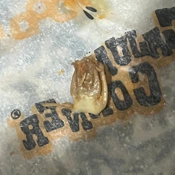 Eksik Ve Bozuk Ürün, Yetersiz Canlı Destek Deneyimi