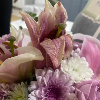 Teslim Edilen Çiçek Solmuş Ve Bilgilendirme Yapılmadı