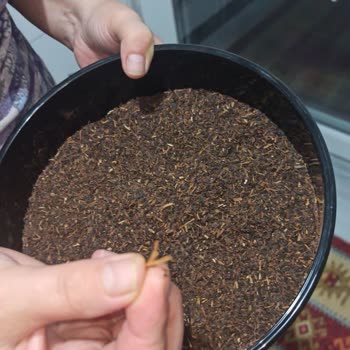 Aldığım Efor Harman Siyah Çay Kalitesiz Ve Yabancı Maddelerle Dolu Çıktı