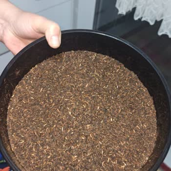 Aldığım Efor Harman Siyah Çay Kalitesiz Ve Yabancı Maddelerle Dolu Çıktı