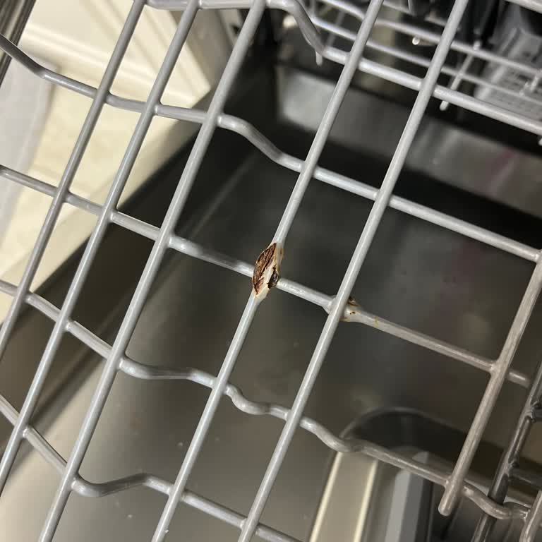 Bulaşık Makinesi Sepetinde Erken Paslanma Sorunu