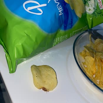 Cips Paketinden Böcek Çıktı, Sağlığımız Tehlikede!
