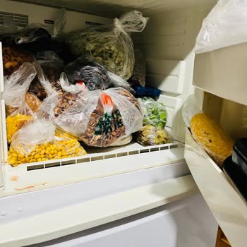 Beş Aydır Çözülemeyen Bosch Buzdolabı Sorunu Mağduriyetimi Artırıyor