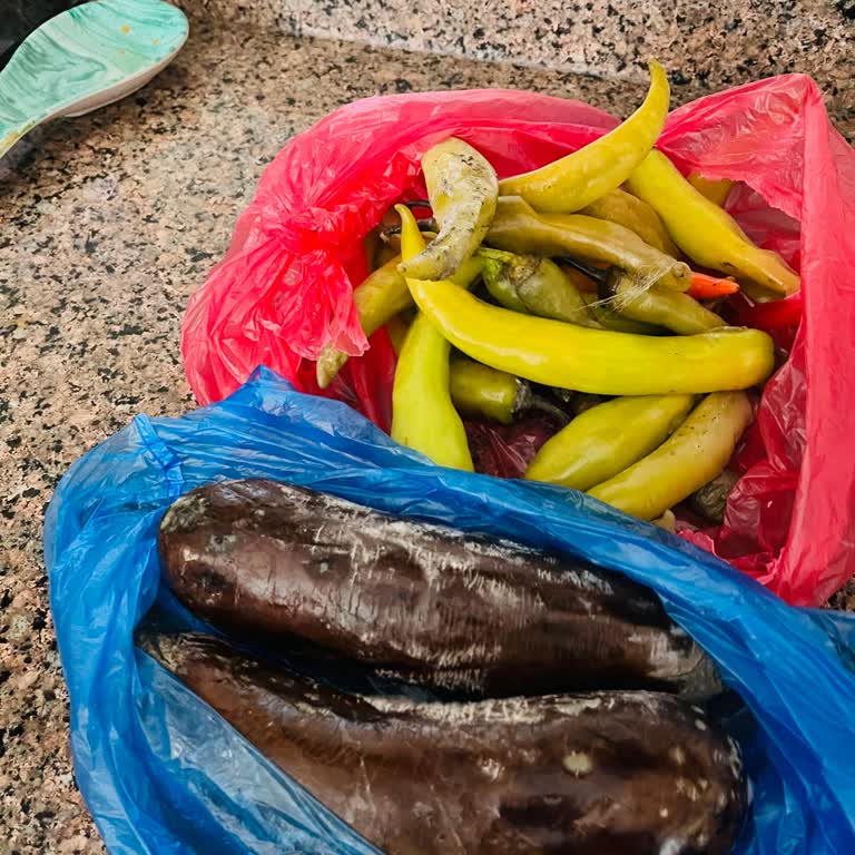 Beş Aydır Çözülemeyen Bosch Buzdolabı Sorunu Mağduriyetimi Artırıyor