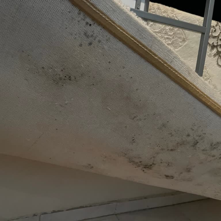 Islak Ve Küflü Halı Teslimatı, Çözüm Sunulmayan Mağduriyet