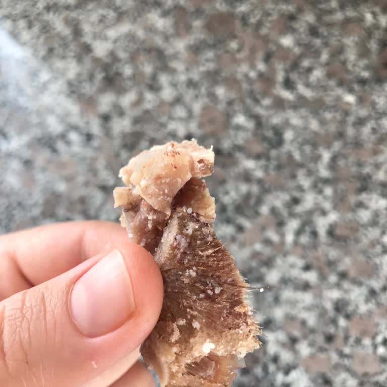 Dondurulmuş Kelle Paça Çorbasında Yoğun Kıl Çıkması Hijyen Endişesi Yarattı