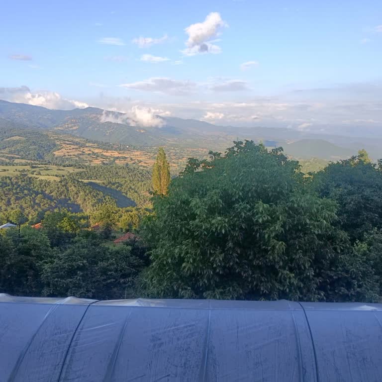 Para Çekme Talebim Reddedildi Ve Hesabım Kapatıldı: Açıklama Ve Ödeme Talebim Var