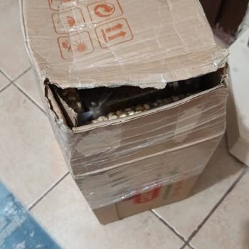 Kargom, Yurtiçi Kargo Ankara Eryaman Anka Şubesi Tarafından Adresime Teslim Edilmedi