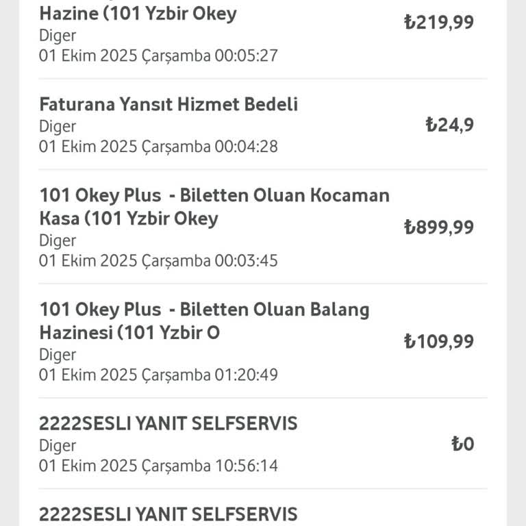 Satın Alınan Biletler Hesabıma Yüklenmedi, Destek Alamıyorum