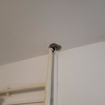 TTNET Fiber Altyapı Çalışması Sonrası Bina Zarar Gördü Ve Sorunlar Giderilmiyor