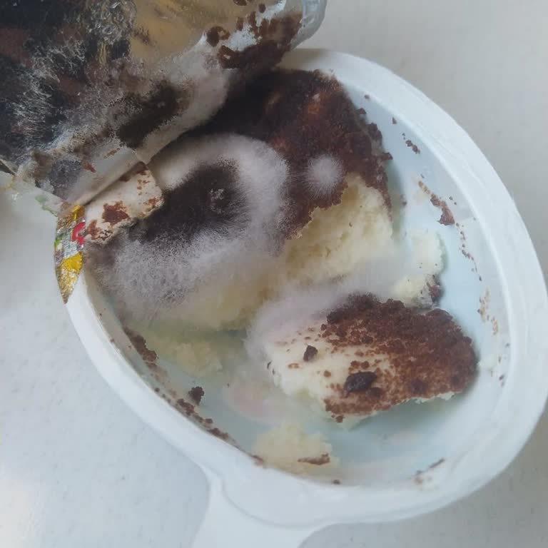 Küflü Ozmo Sürpriz Yumurta Ve Müşteri Hizmetlerinden Yanıtsızlık