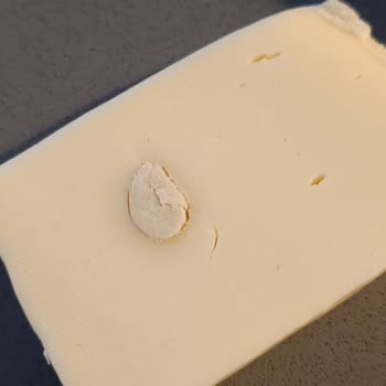 Kaşar Peynirinden Yabancı Cisim Çıktı, Hızlı Çözüm Bekliyorum