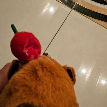 Yanlış Ve Defolu Ürün Gönderildi Müşteri Hizmetleri Çözüm Sunmadı