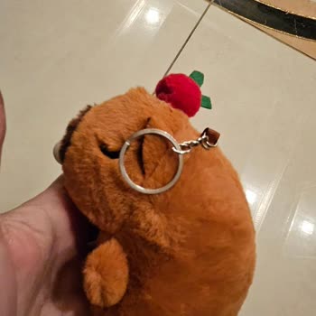 Yanlış Ve Defolu Ürün Gönderildi Müşteri Hizmetleri Çözüm Sunmadı