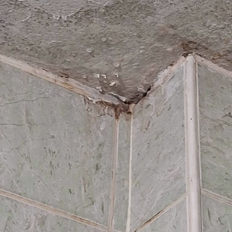 Su Sızıntısı Hasarım Sigorta Tarafından Yetersiz İnceleme İle Reddedildi