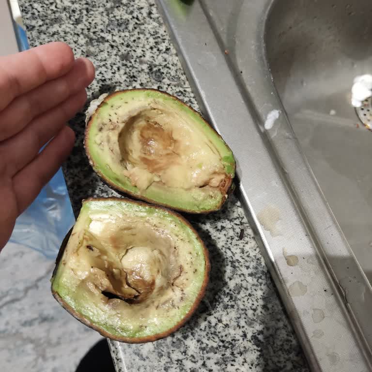 Migros Sürekli Çürük Çıkan Avokado Ürünleri ve İlgisiz Geri Bildirimler