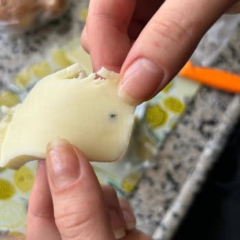 Kaşar Peynirinde Böcek Şoku: Sağlığımız Tehlikede!