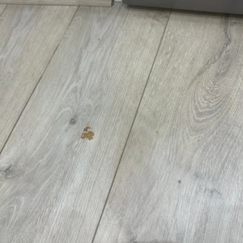 Servis Ziyaretinde Hem Ürün Hem Parke Hasarı Ve Olumsuz Davranış