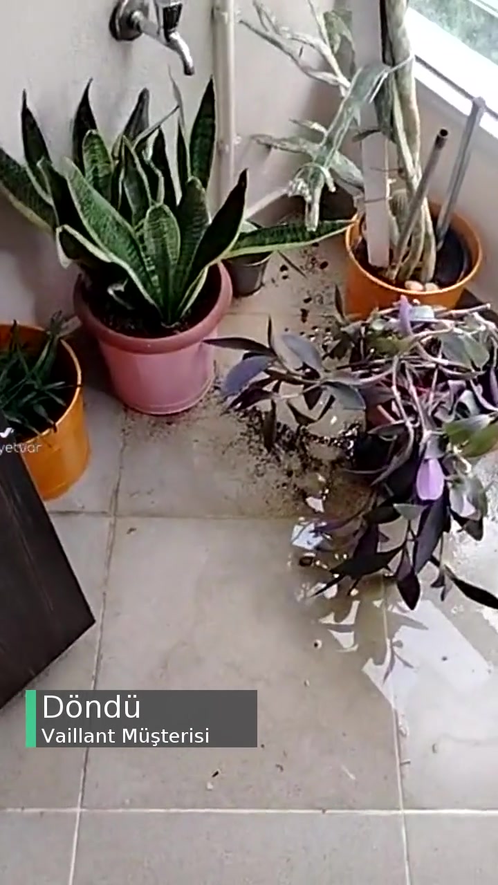 Vaillant Kombi Servisi Geri Dönüş Yapmıyor Sıcak Su Yok! videonun kapak resmi