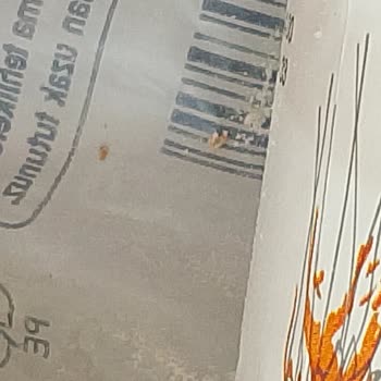 BİM'den Alınan Unun İçinden Canlı Kurt Larvaları Çıktı!