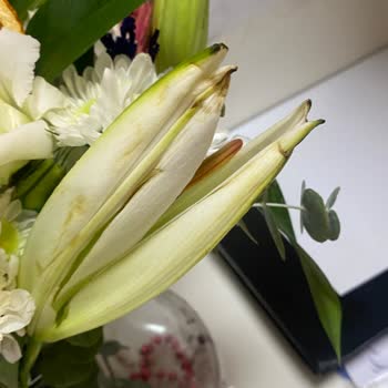 Çiçek Sepeti'nden Solmuş Çiçek Teslimi Ve İade Talebimin Reddedilmesi