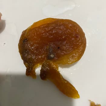 Son Kullanma Tarihi Geçmemiş Üründe Küf Ve Bozulma Sorunu