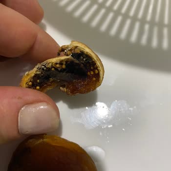 Son Kullanma Tarihi Geçmemiş Üründe Küf Ve Bozulma Sorunu