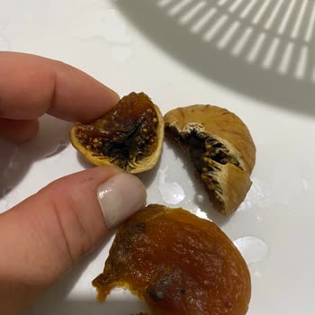 Son Kullanma Tarihi Geçmemiş Üründe Küf Ve Bozulma Sorunu