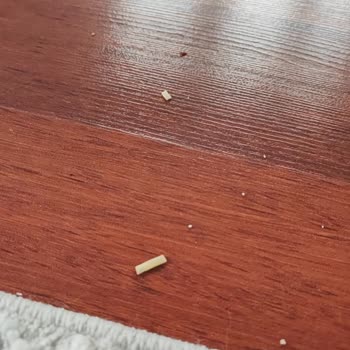 Garanti Sonrası Performansı Düşen Robot Süpürge İçin Destek Talebi