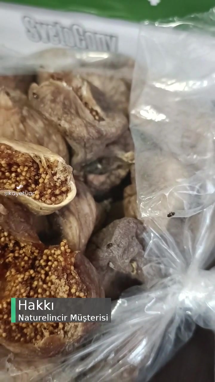 Naturelincir İçinde Sinekler Var! videonun kapak resmi