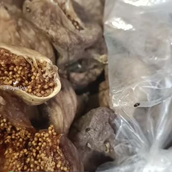 Naturelincir İçinde Sinekler Var!