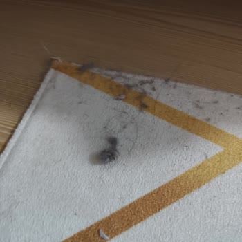 Xiaomi Ek Garanti Kapsamında Tamir Talebim Reddedildi, Mağdur Ediliyorum