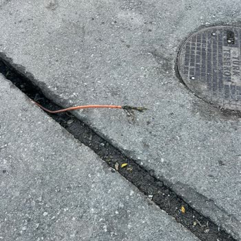 Türk Telekom Fiber İnternetim Haftalardır Kesik Mağduriyetim Büyüyor