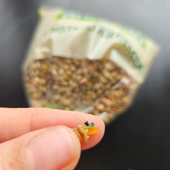 Aldığım Mercimekte Böcek Çıktı, Müşteri Hizmetlerine Ulaşamıyorum