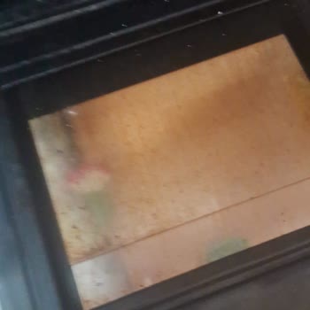 Ev Temizliği Sonrası Eksiklikler Ve Zararlar İçin Çözüm Talebi