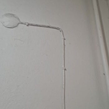 Ev Temizliği Sonrası Eksiklikler Ve Zararlar İçin Çözüm Talebi