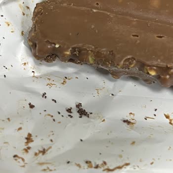 Aldığım Gofretin İçinden Kurt Ve Örümcek Ağı Çıktı, Hayal Kırıklığı Yaşadım