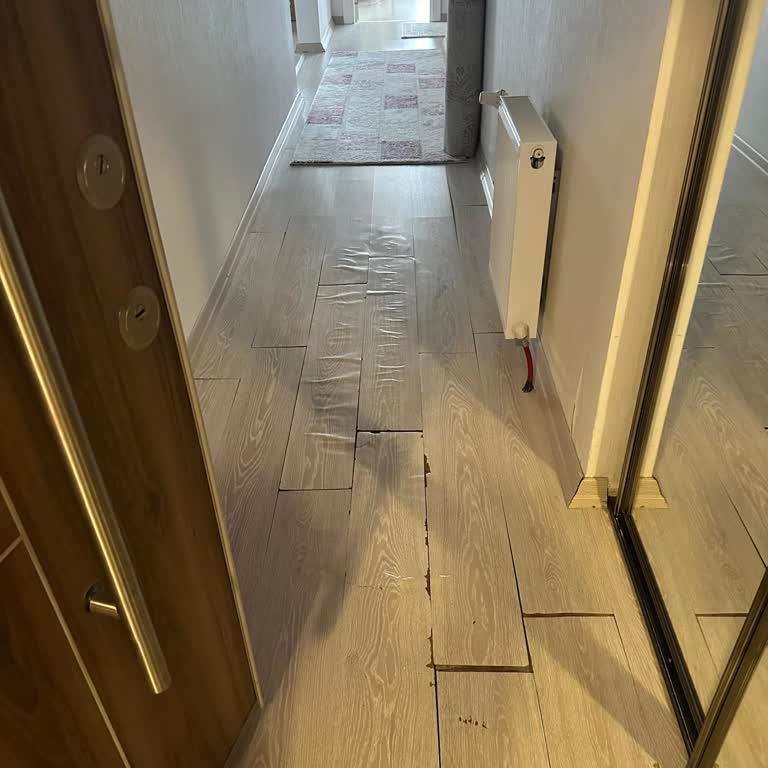 Neova Sigorta Hasar Ödemesinin Gecikmesi Ve İletişim Sorunları