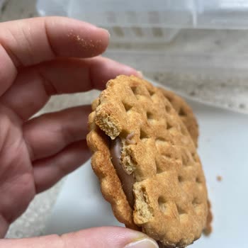 Aldığım Bisküvide Canlı Kurt Çıktı: Gıda Güvenliği Endişesi