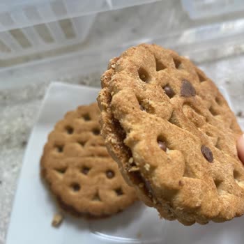 Aldığım Bisküvide Canlı Kurt Çıktı: Gıda Güvenliği Endişesi