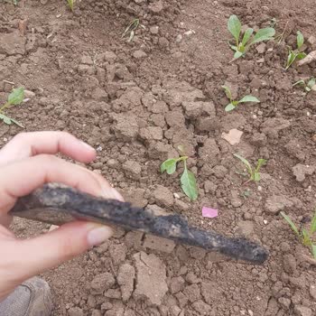 Çantamda Duran Huawei Telefonum Aniden Patladı Ve Eşyalarım Zarar Gördü