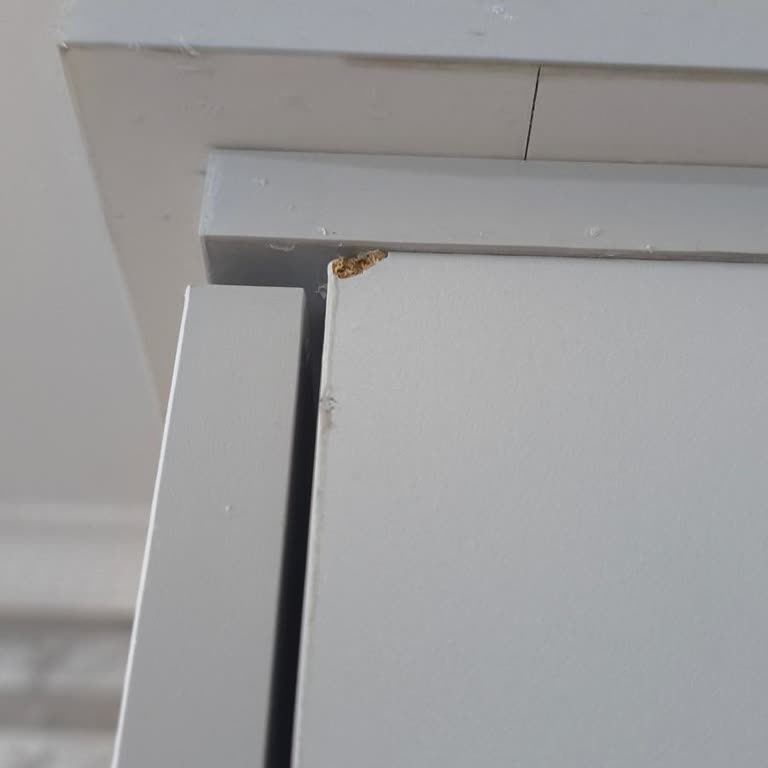 Teslimat Gecikmesi, Kusurlu Ürün Ve İlgisiz Hizmet Nedeniyle Memnuniyetsizlik