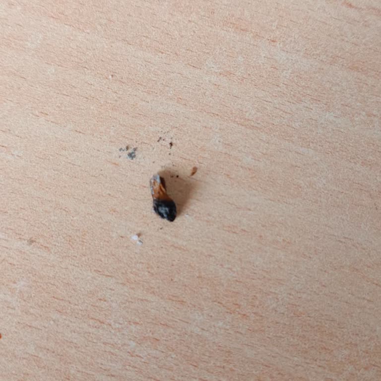 Marlboro Grey Sigara Paketlerinde Sürekli Yaşanan Kalite Sorunları Ve Sağlık Endişesi