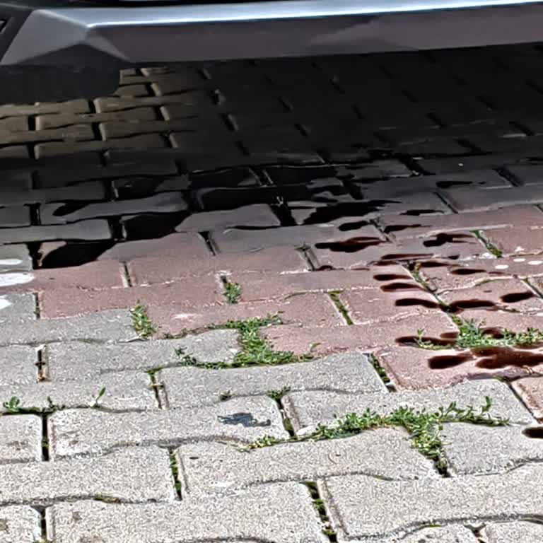 Yeni Aracımda Yağ Sızıntısı Ve Servis Sürecinde Yaşanan Mağduriyet