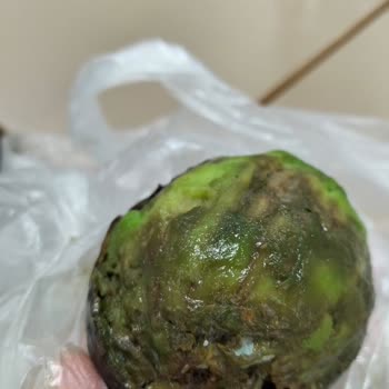 Küflü Avokado Ve Olumsuz Mağaza Çalışanı Davranışı
