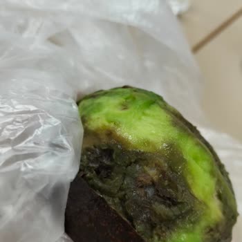 Küflü Avokado Ve Olumsuz Mağaza Çalışanı Davranışı
