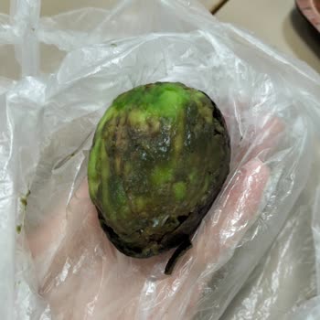 Küflü Avokado Ve Olumsuz Mağaza Çalışanı Davranışı